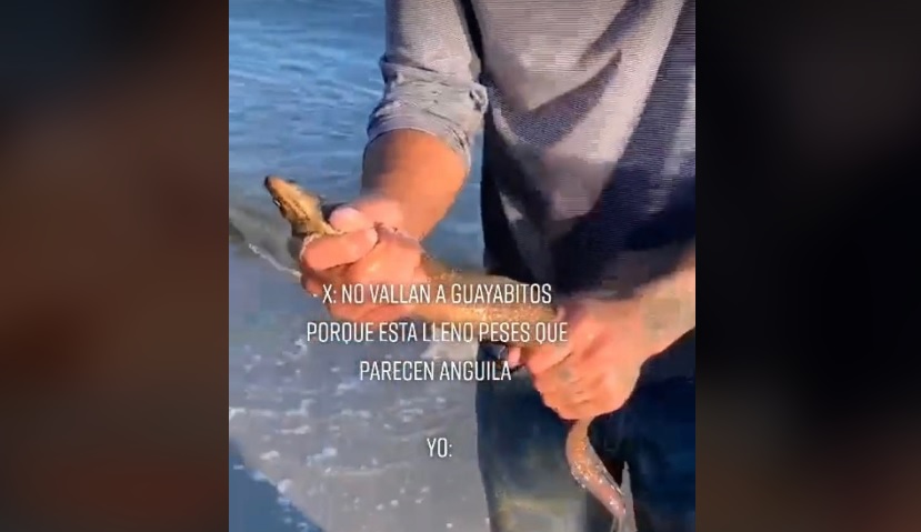 VIRAL: No le tuvo miedo al pez 'Morena' y lo saca con las manos en  Guayabitos (VIDEO) - Entérate Nayarit