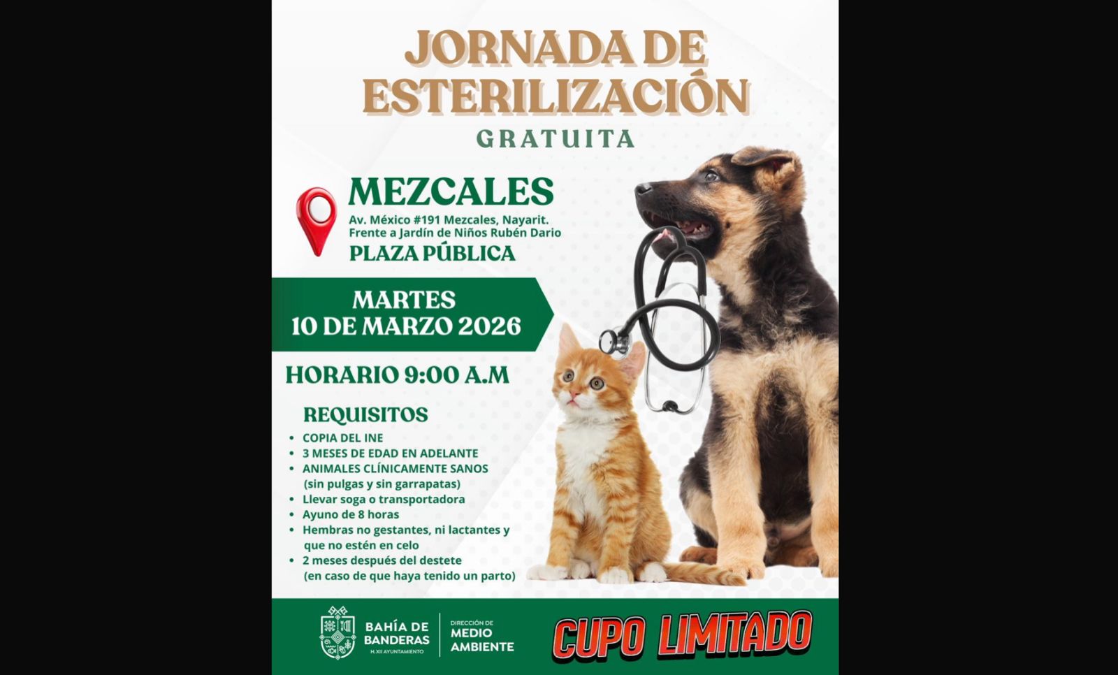 Gobierno de Bahía de Banderas invita a jornada gratuita de esterilización